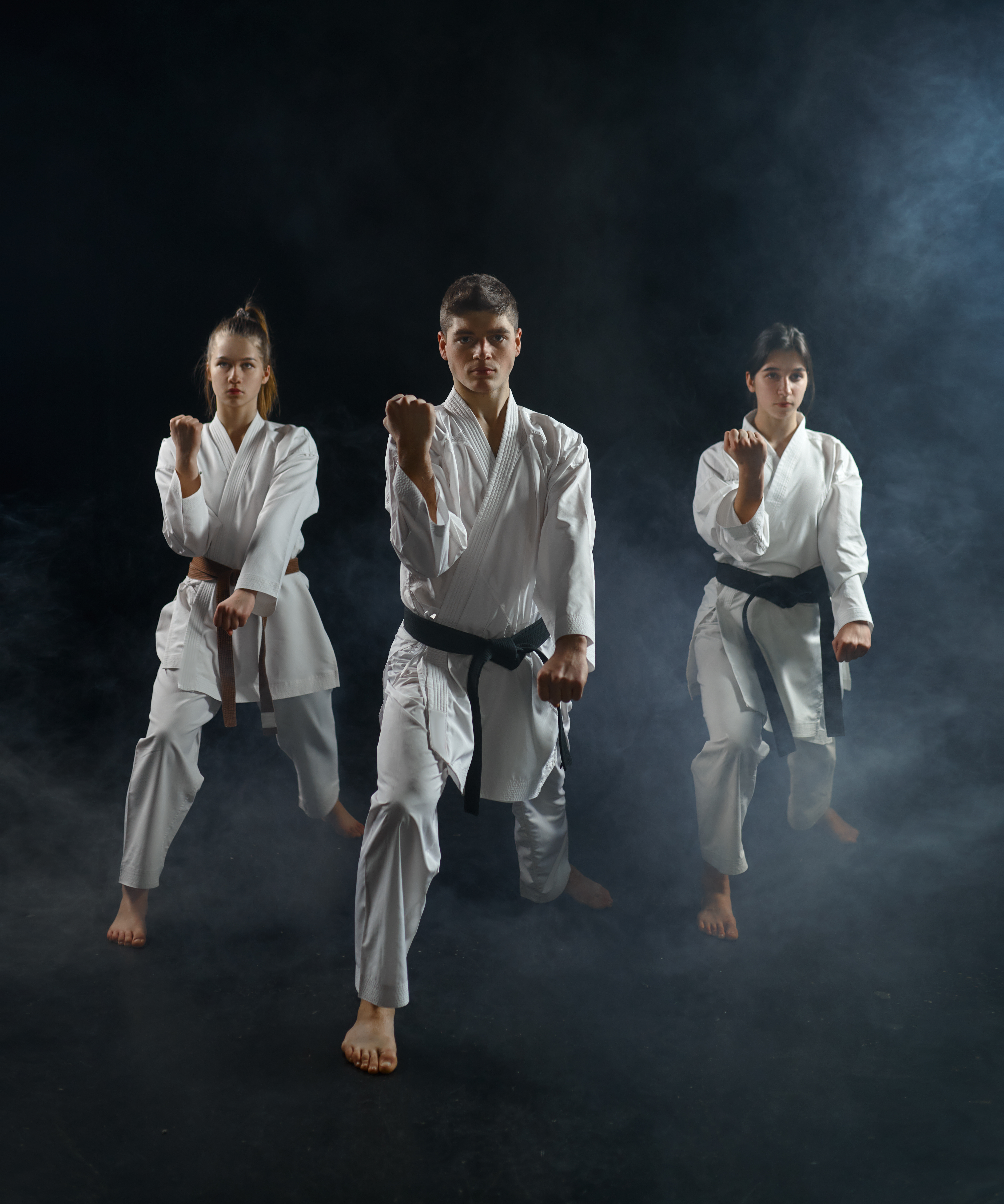 About Karate Association of India